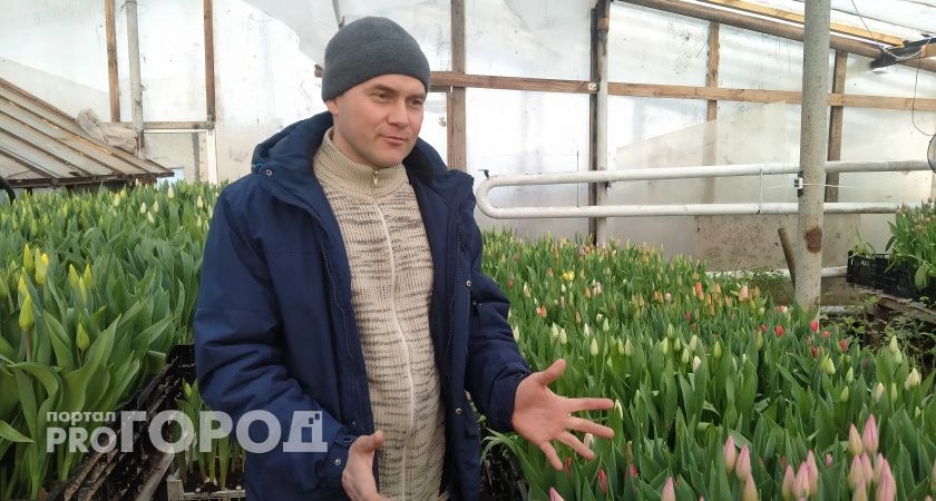 Фото к статье: Водитель фуры из Чувашии 20 лет выращивает тюльпаны: "Теща предложила на пробу посадить"