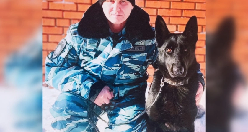 Фото к статье: В чувашской деревне разобрали стену и залезли в магазин: как собака Зара вышла на след преступника
