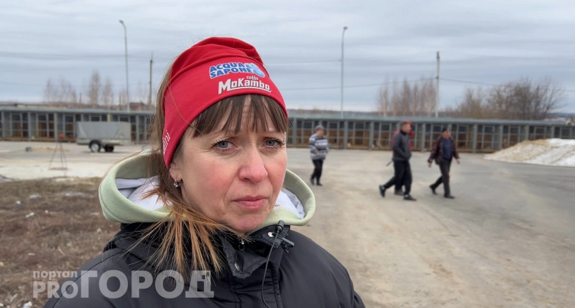 Фото к статье: Зоозащитники Чувашии бьют тревогу из-за госпрограммы по отлову и стерилизации бездомных собак