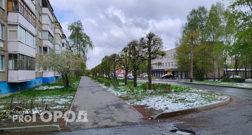 Совсем не майская погода: водоворот дождя, снега и заморозков ждет Чувашию 