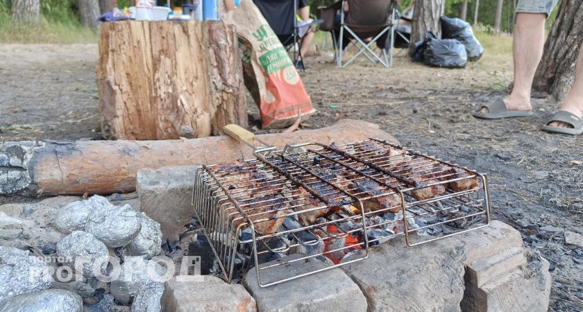 Жителям Чувашии запретили ходить в леса и готовить там еду: штрафы от 40 тысяч рублей 