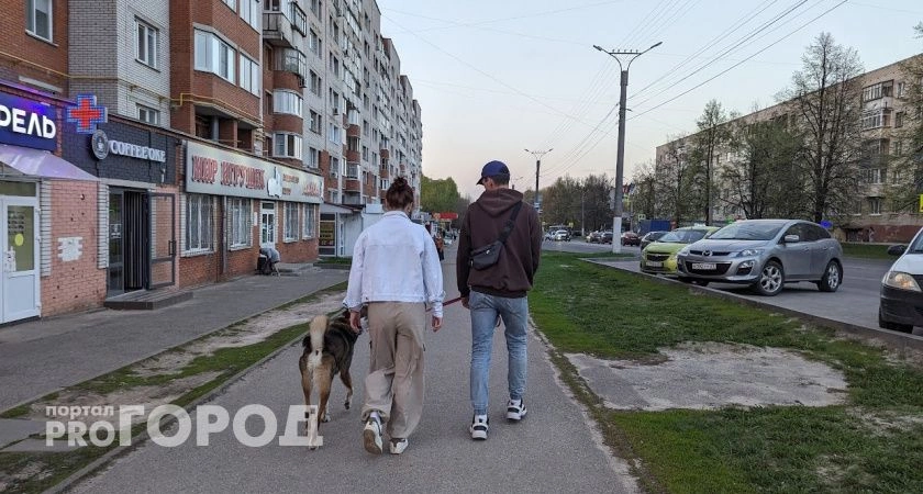 Фото к статье: Наследство с сюрпризом: три случая, когда придется отдавать чужой долг