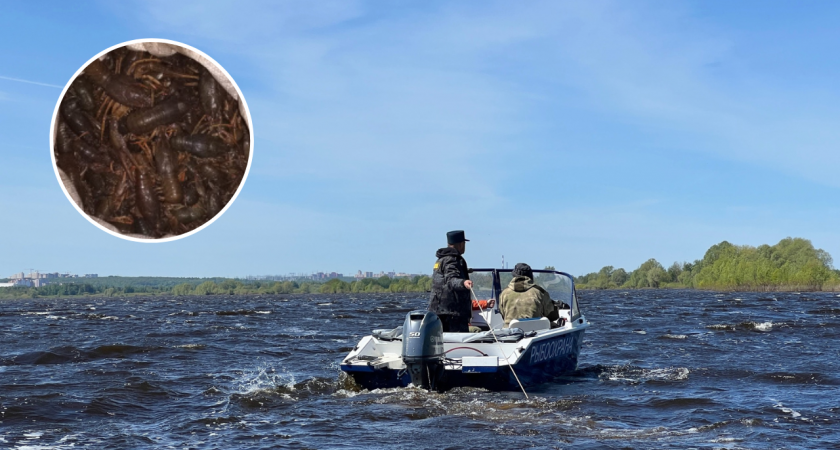 Полицейские из Чувашии задержали мужчину на лодке, который выловил более 200 раков