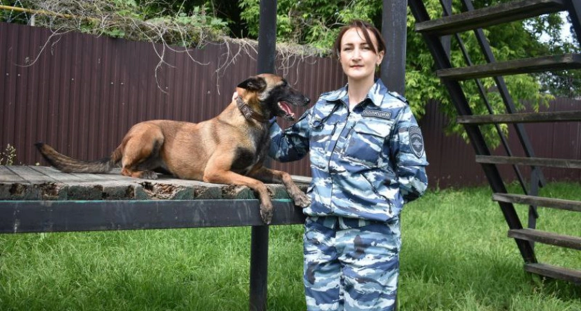 Фото к статье: В Чебоксарах девушка с овчаркой помогли найти преступника, пробравшегося в ювелирный магазин