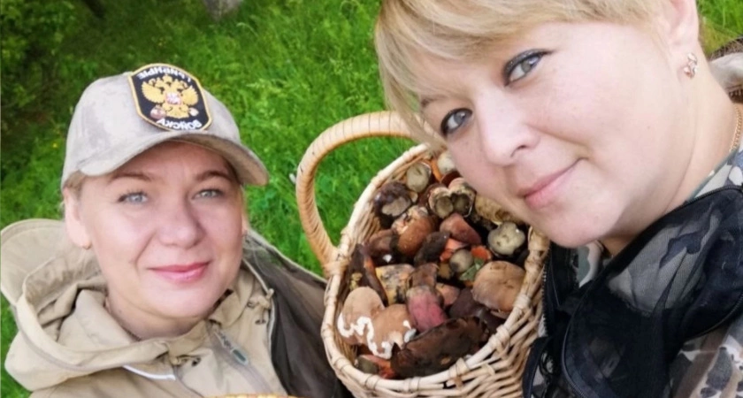 Фото к статье: Грибной сезон в Чувашии набирает обороты: "Белых очень много, есть лисички и подосиновики"