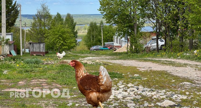 Цены растут: чтобы купить дом в Чувашии, нужно накопить в среднем четыре миллиона