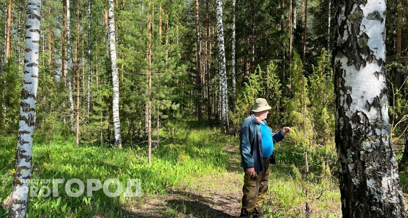 В Чувашии клещи покусали более 70 человек
