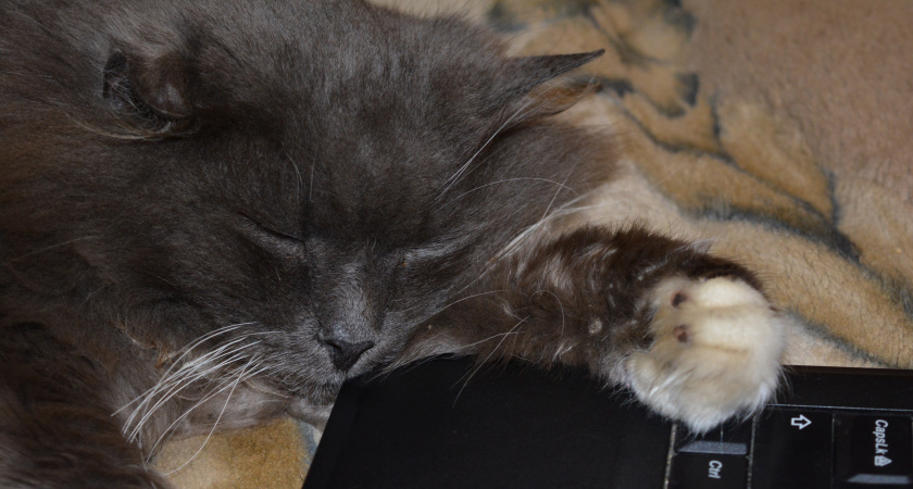 Когда истощение подкрадывается: пять способов, которые вас выручат