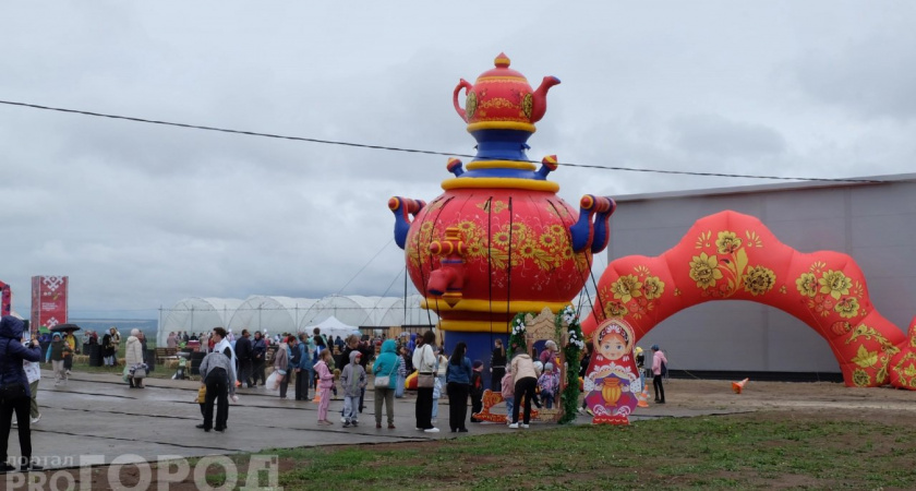 Ягодный фестиваль соберет гостей в Чебоксарах: ярмарка, мастер-классы и развлечения