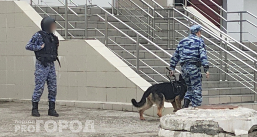 Дезертира из Чувашии разыскивают после стрельбы в Белгородской области