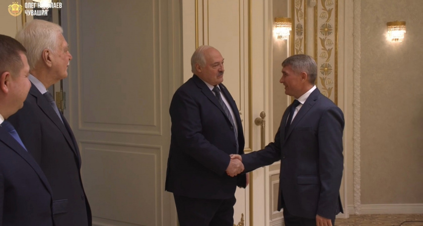 Николаев встретился с Лукашенко, чтобы обсудить вопросы взаимовыгодных отношений с Беларусью