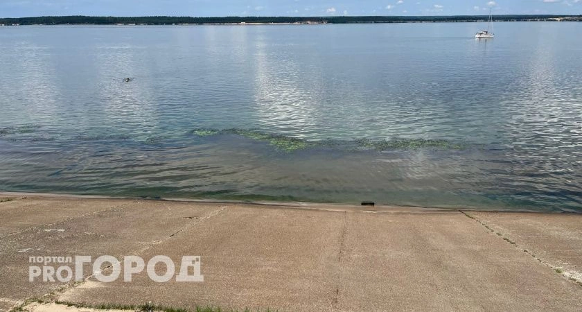 Фото к статье: Власти о состоянии Волги и очистных сооружениях в Чебоксарах: "Все сточные воды транспортируются в Новочебоксарск"
