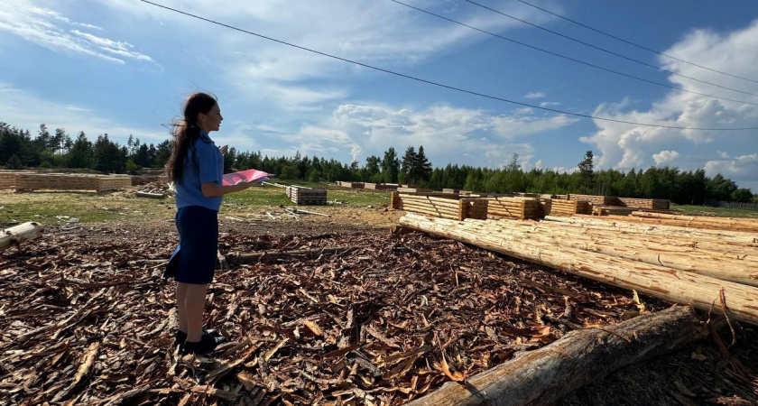 В Заволжье семь гектаров земли самовольно заняли коммерсанты