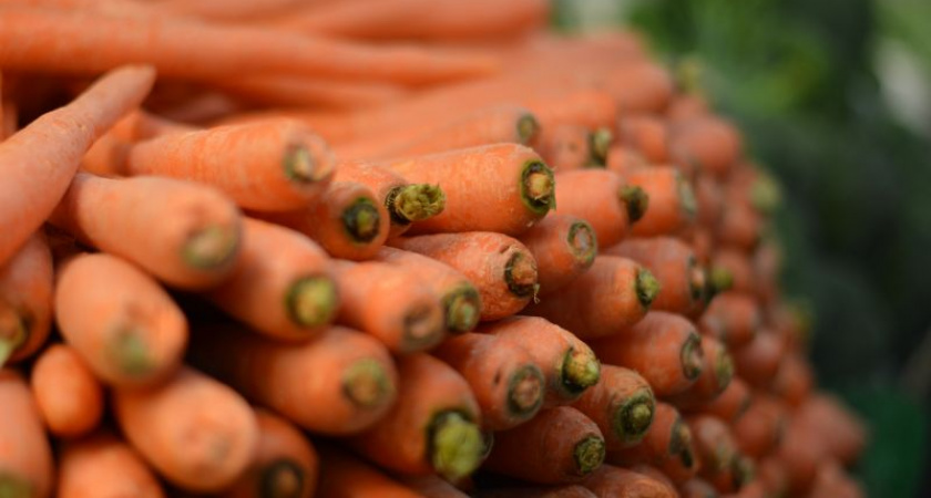 Морковь разрастется сладкая и большая: просто полейте грядку этим простейшим раствором