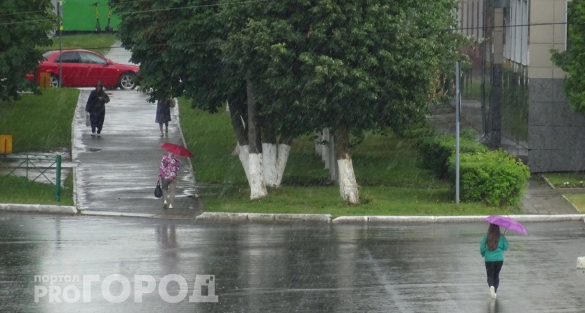 Новая волна ливней накроет Чувашию: какую погоду принесет эта неделя