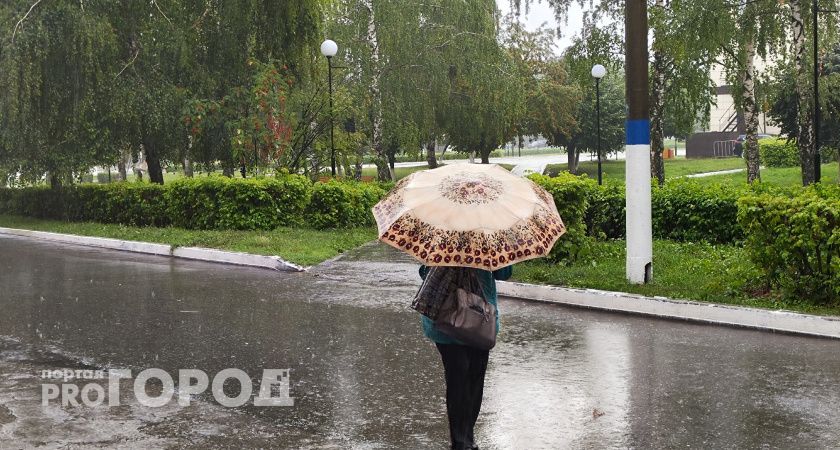 Мокрая погода в Чувашии продолжается