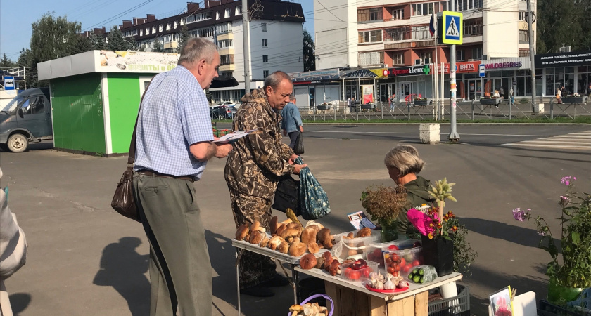 В Марий Эл реализуют целебные грибы со всего мира: просят до 5000 за банку