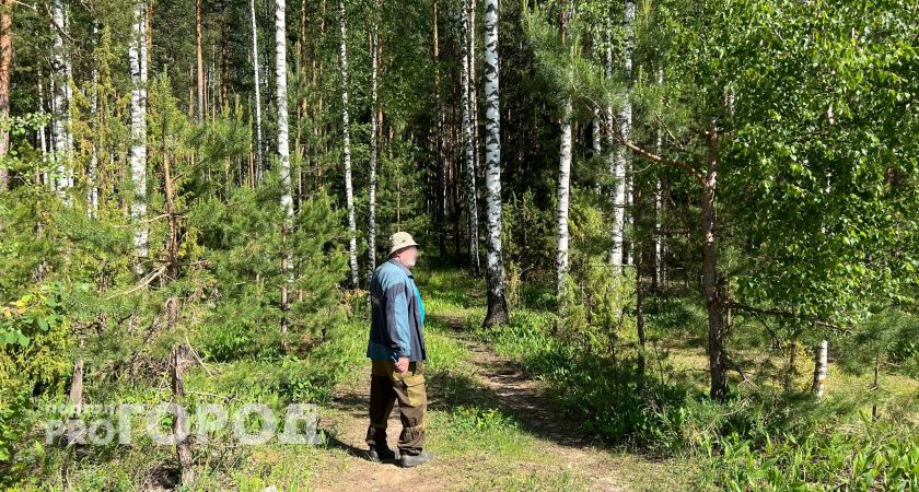 В Чувашии ожидается чрезвычайная пожароопасность: наложен запрет на посещение лесов