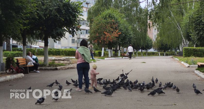 Воскресенье преподнесет жителям Чувашии ветреную погоду и снижение температуры воздуха