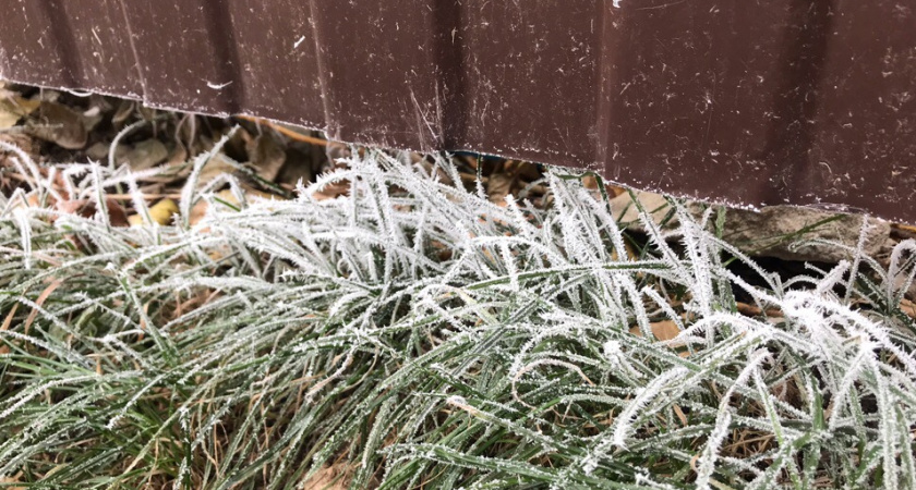 Жителей Чувашии предупредили о ночных заморозках до минус пяти градусов