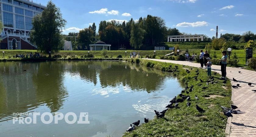 Фото к статье: Тревожная неделя: МЧС Чувашии выпустило срочное предупреждение