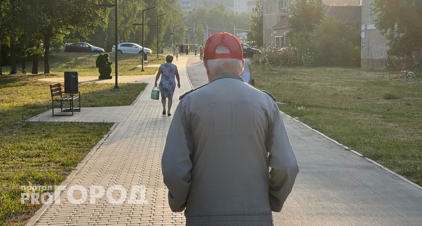 Обещание вернуть потерянные деньги обернулось новой кражей для пожилого чебоксарца