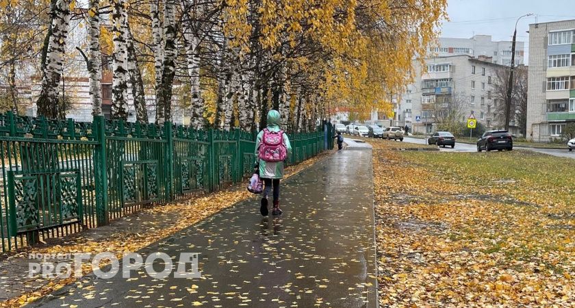 Похолодание, дождь со снегом и первое веяние зимы: какой ждать октябрь в Чувашии