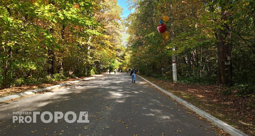 Это золотая осень: синоптики рассказали, какая погода ожидается в Чувашии в эту пятницу