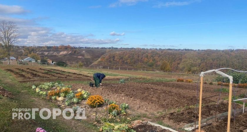 С какой погоды начнется новая рабочая неделя в Чувашии