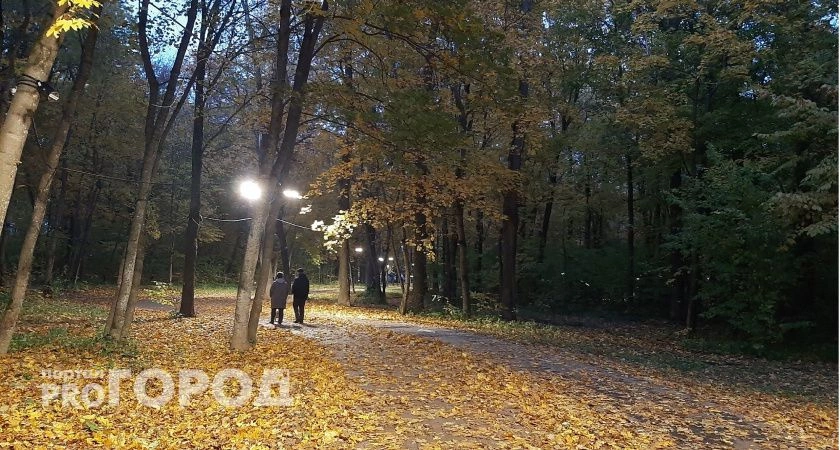 Фото к статье: Стаж, возраст и коэффициенты: что нужно знать о пенсиях в 2024 году