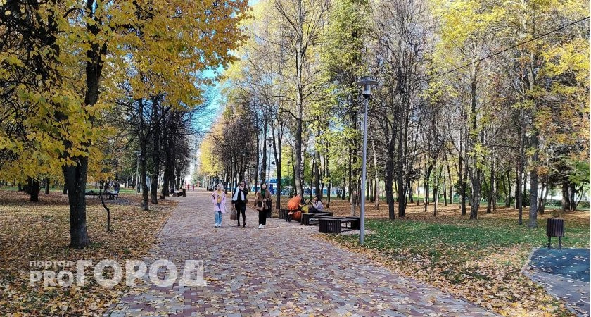 Фото к статье: До первого снега Чувашию ждет четыре дня золотой осени: "Пора менять резину"