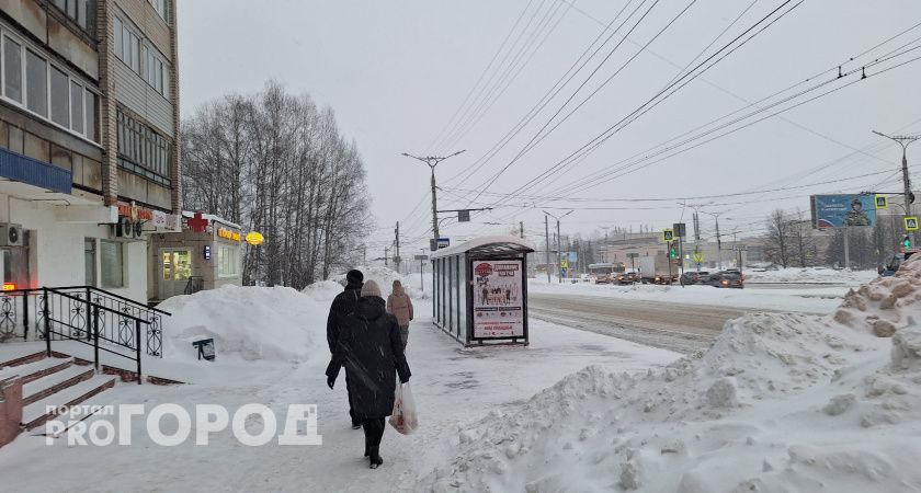 Чувашию ждет холодная и неснежная зима 