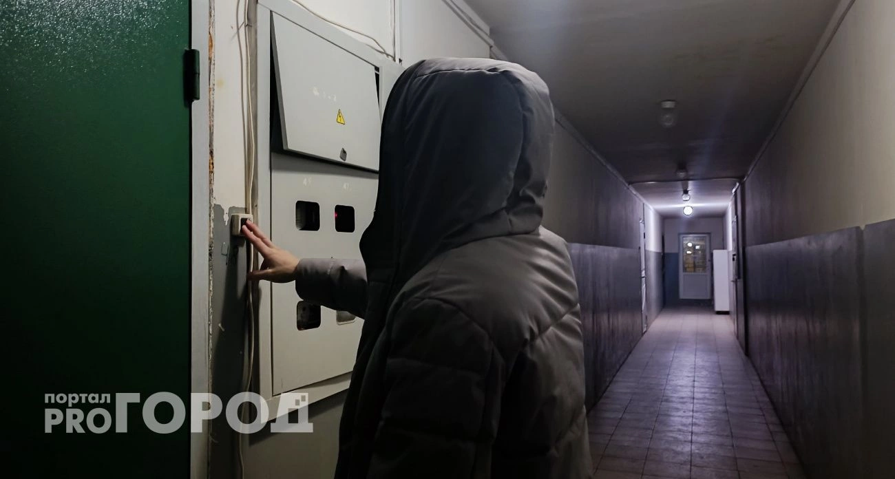 Фото к статье: 33-летний житель Чувашии пришел в гости к знакомой и воспользовался моментом, чтобы похитить ее деньги