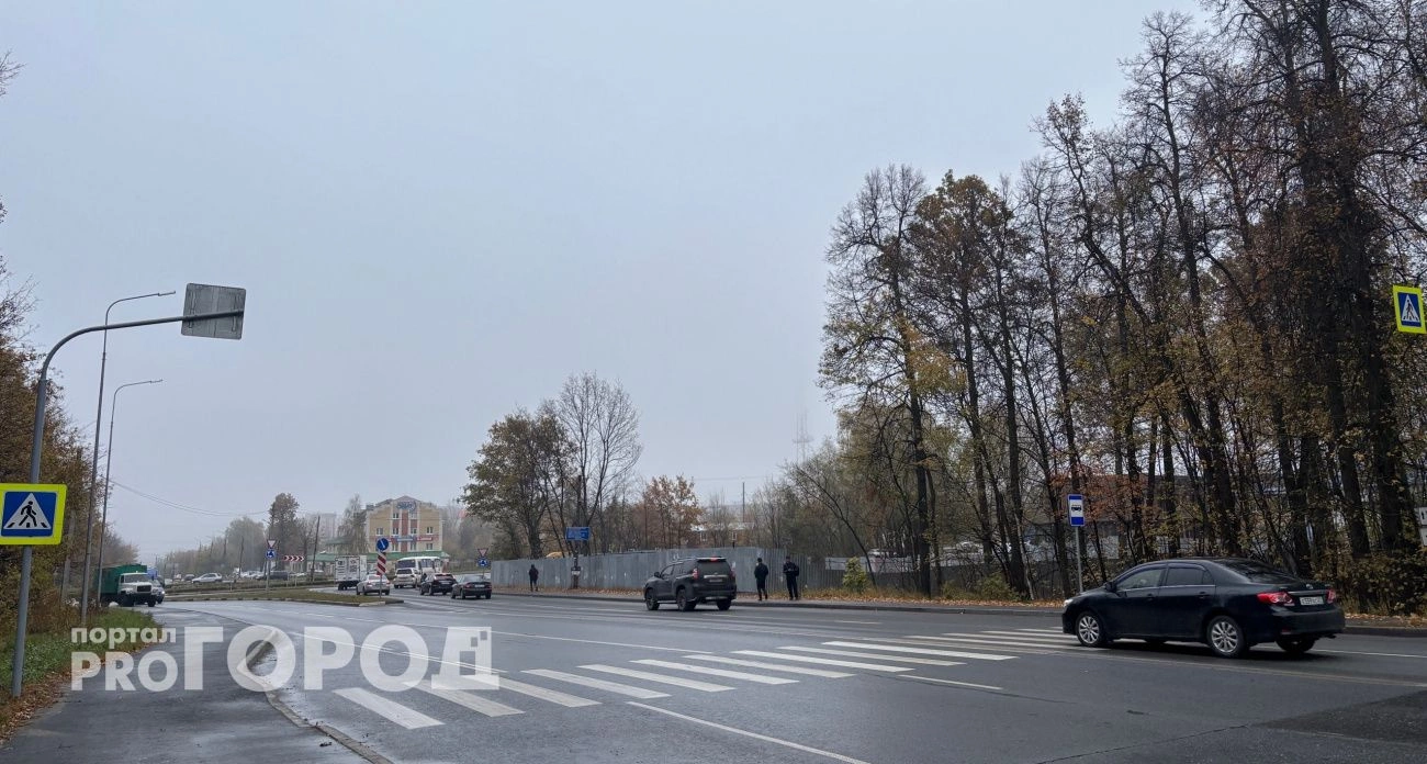 Фото к статье: Туман и ночные холода: погода в Чувашии на воскресенье
