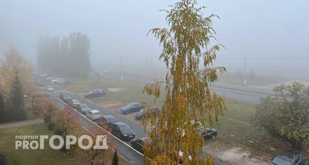 Фото к статье: С туманов и плюсовой температуры начнется новая неделя в Чувашии