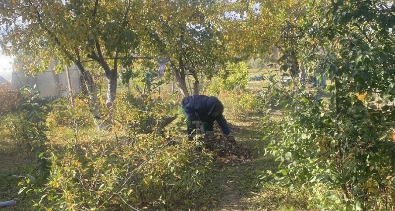 Фото к статье: Ничего не вырастет: не вздумайте делать это в саду на этой неделе, иначе разочаруетесь