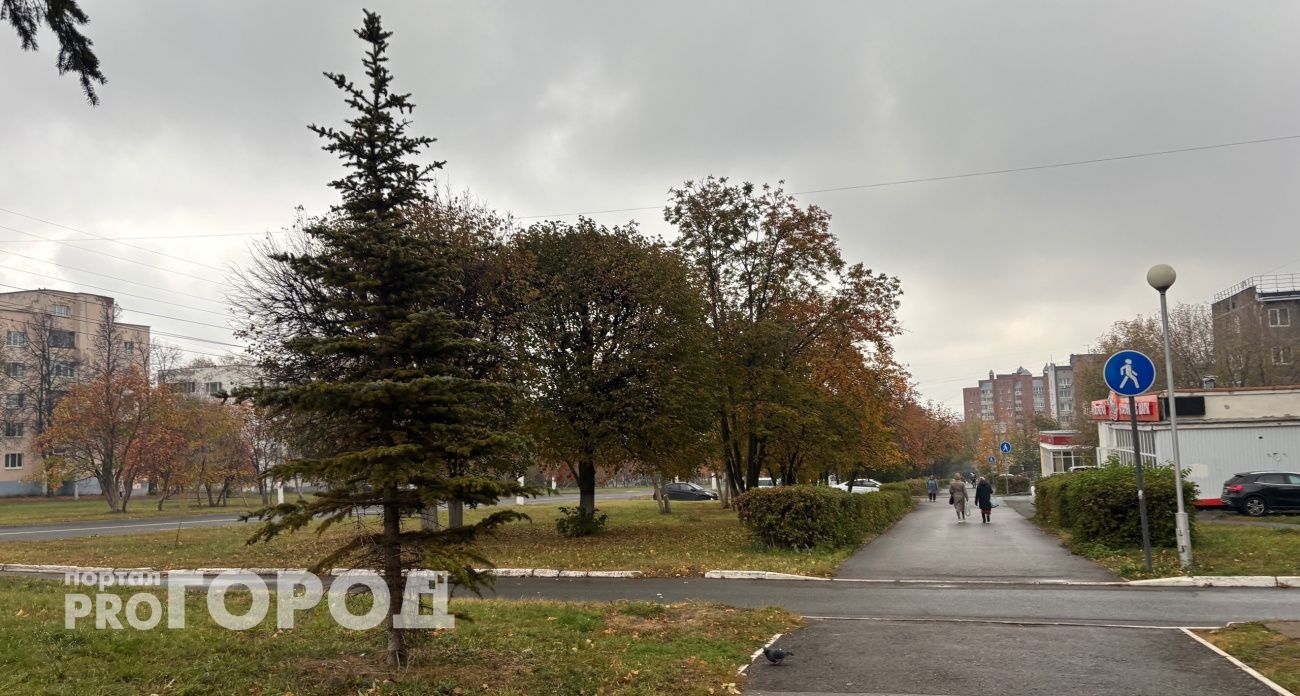 Чем порадует жителей Чувашии погода в пятницу