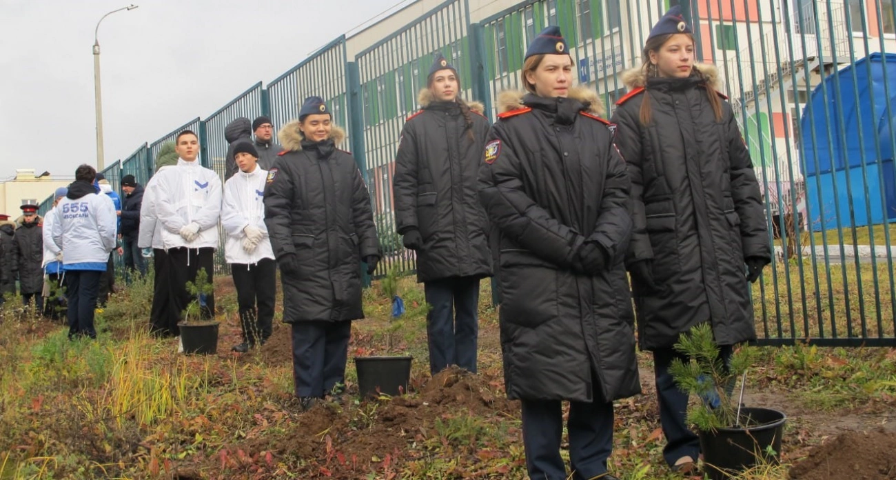 Фото к статье: В Чебоксарах появилась аллея деревьев в честь участников СВО