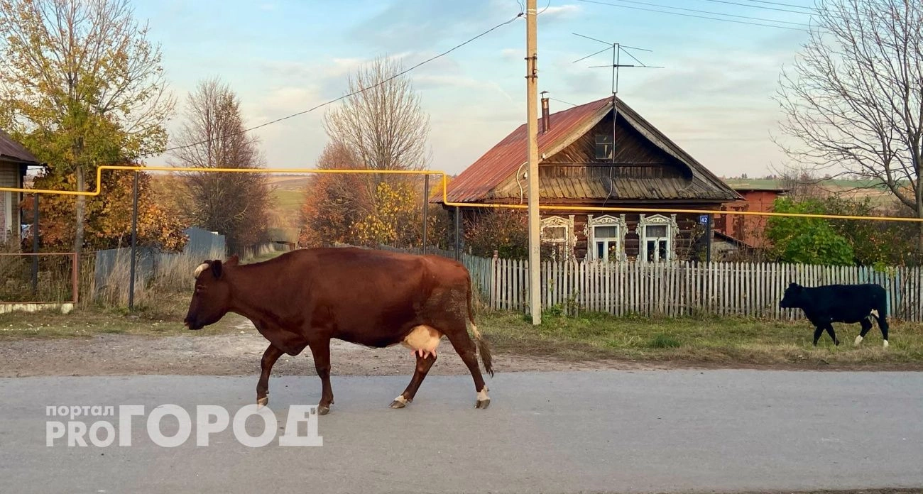 Фото к статье: В Чувашии две деревни получат более сотни миллионов рублей от Правительства России