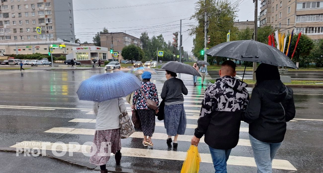 Фото к статье: Дождь взял курс на Чебоксары: идет с запада