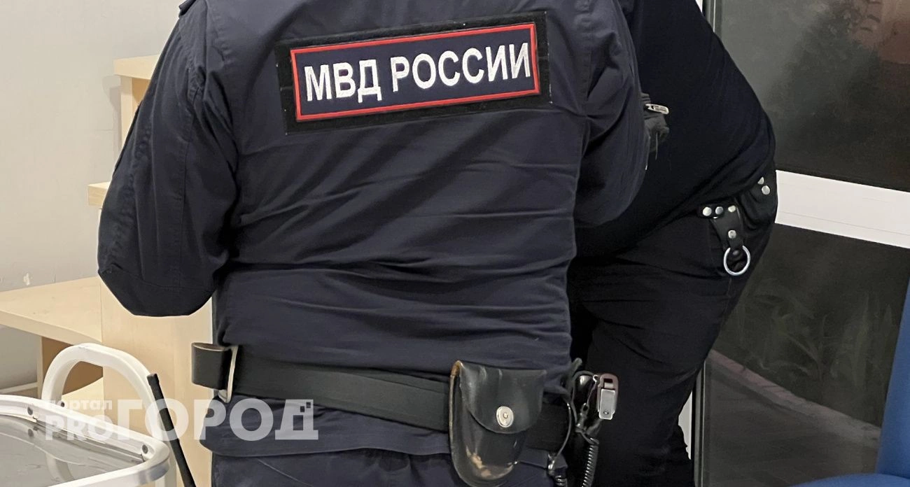 Фото к статье: Власти Чувашии рассказали о снижении уровня преступности и хорошей раскрываемости
