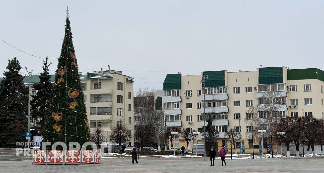 В понедельник в Чувашию может прийти настоящая снежная зима