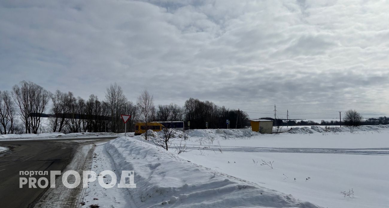 В одном из районов Чувашии второй день нет электроэнергии 