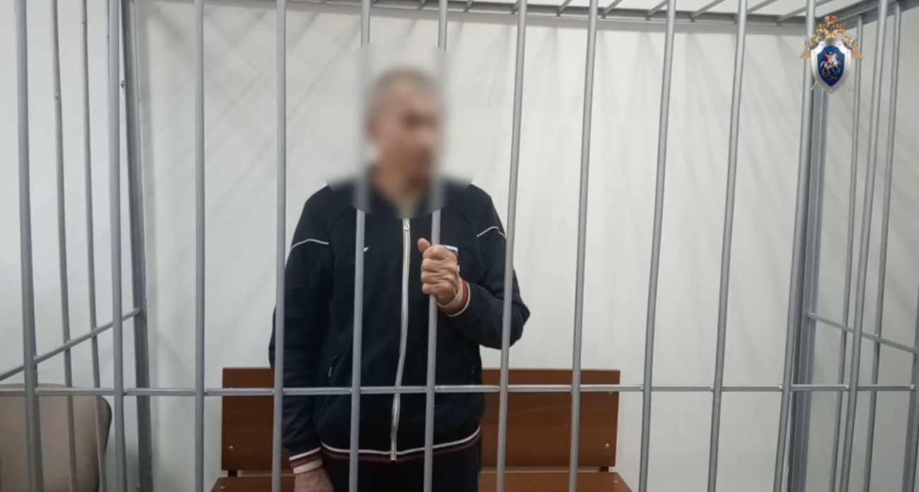 Фото к статье: Канашский убийца в костюме Деда Мороза заключен под стражу