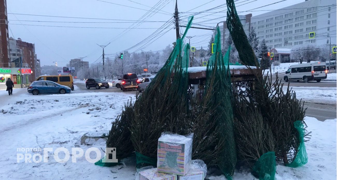 В Чувашии откроются три места, куда можно сдать ненужную новогоднюю ель