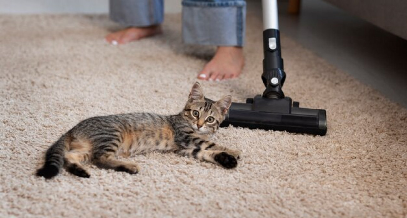 Бабушкин метод, который уничтожит всю пыль в вашем ковре за 15 минут