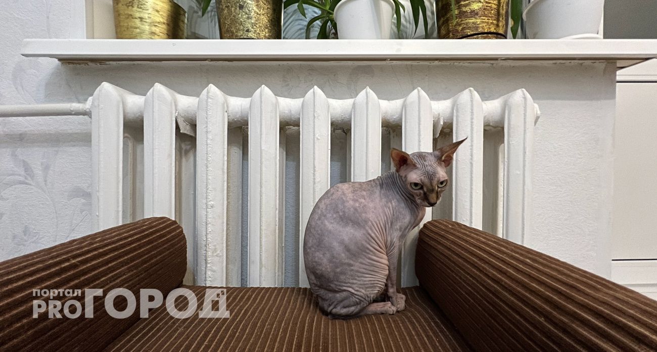 В Чебоксарах жильцы ряда улиц остались без тепла и воды