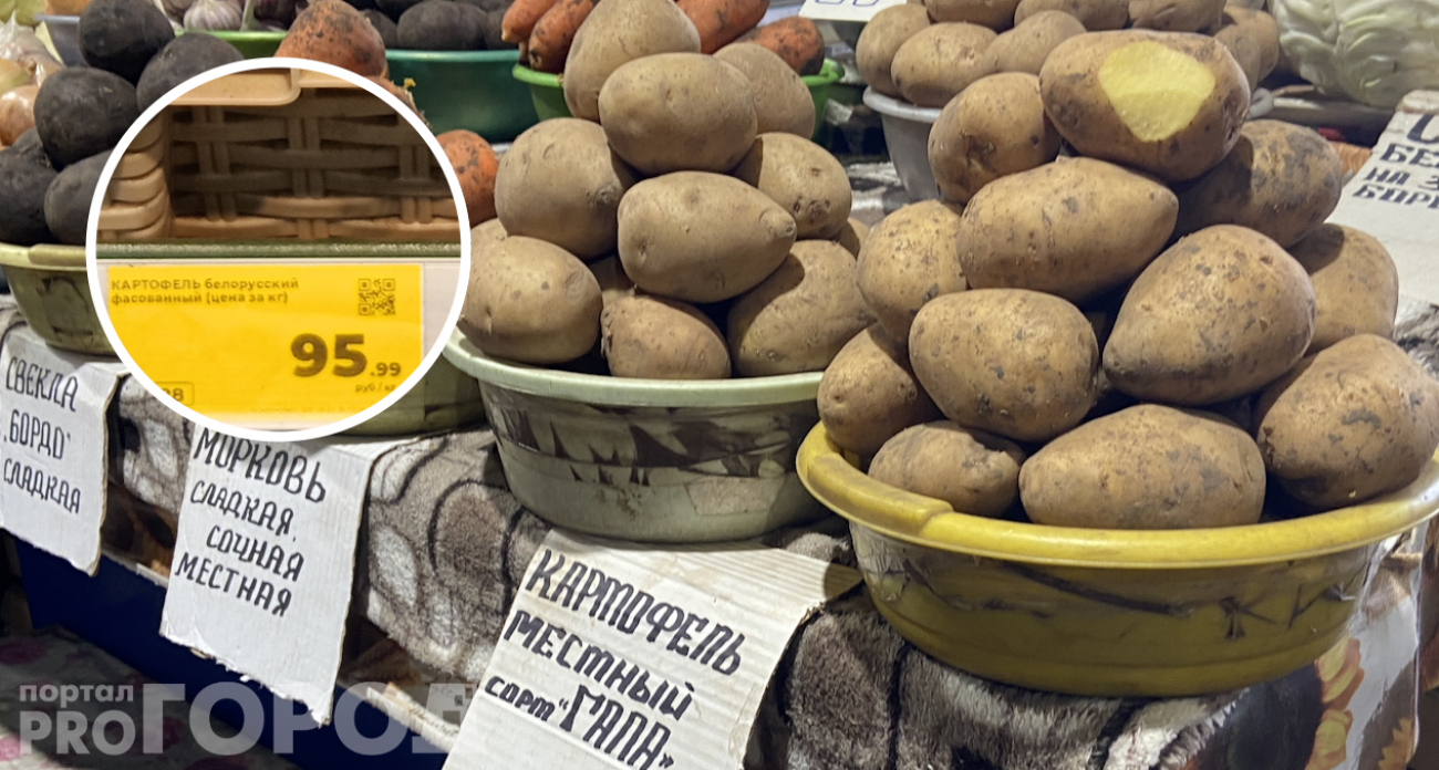 В Чувашии продавцы и покупатели в недоумении от роста цен на картофель: местный в два раза дешевле импортного