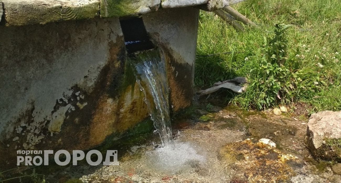 Вода в шести чебоксарских родниках оказалась опасна для людей из-за бактерии