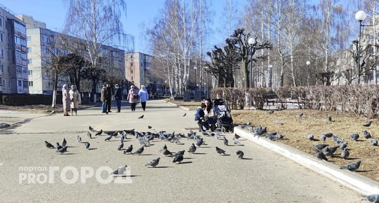 Фото к статье: Мальчика в Чувашии назвали библейским именем